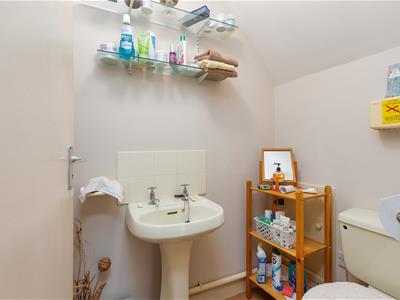 Picture 15